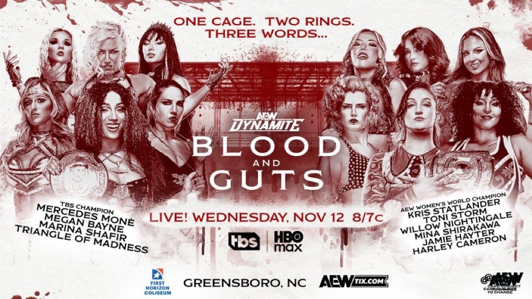 Read more about the article AEW Dynamite Blood & Guts Preview (Nov. 12, 2025): First-Ever Women’s 6-on-6 Blood & Guts, Moxley’s Death Riders vs. Darby Allin’s Team, and Hangman vs. Hobbs Falls Count Anywhere